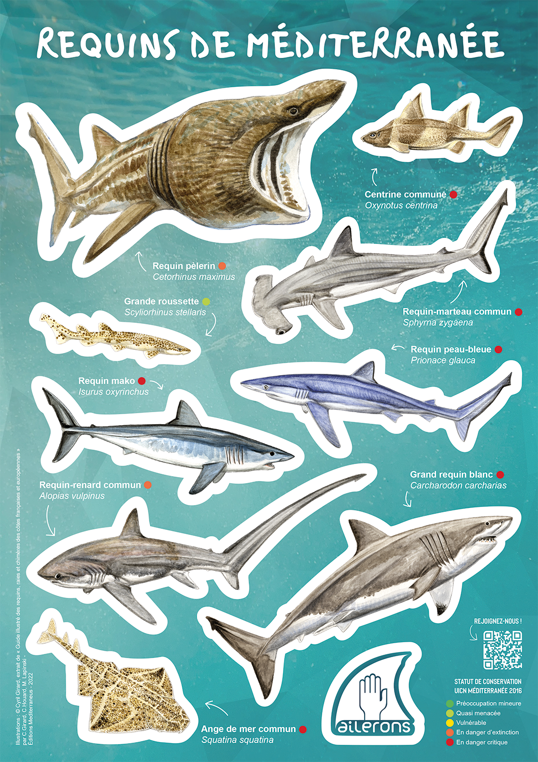 Planche stickers Requins de Méditerranée