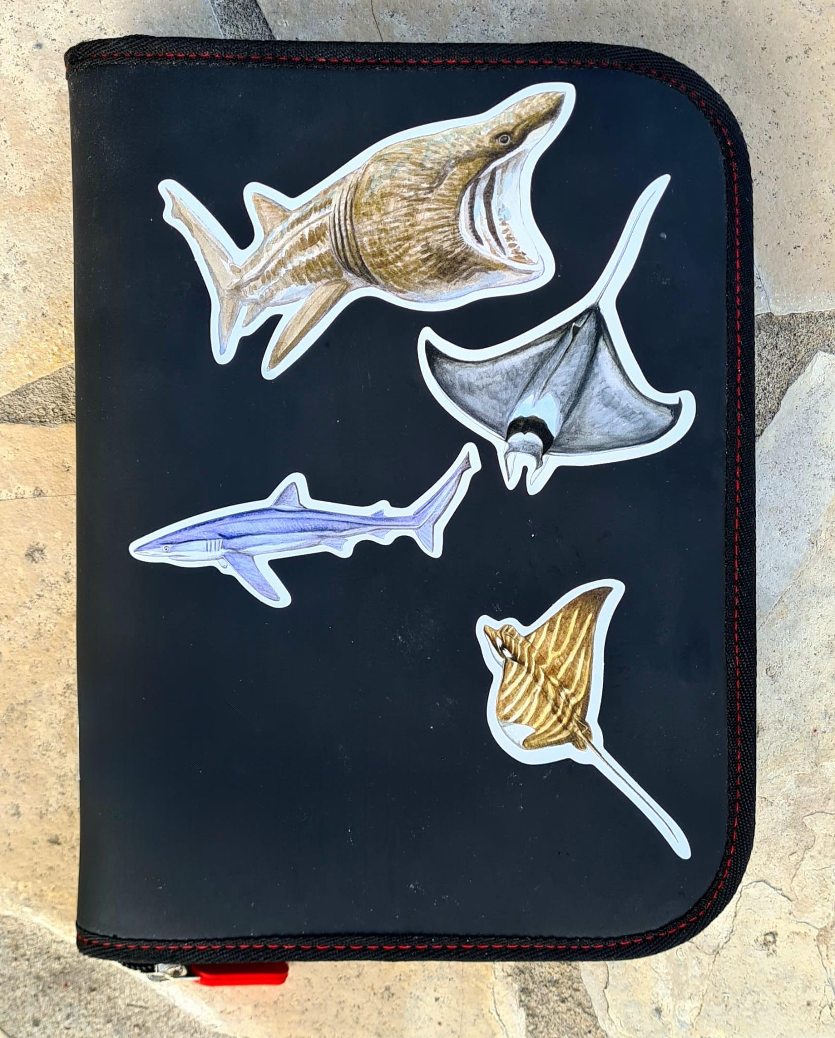 Planche stickers Raies de Méditerranée