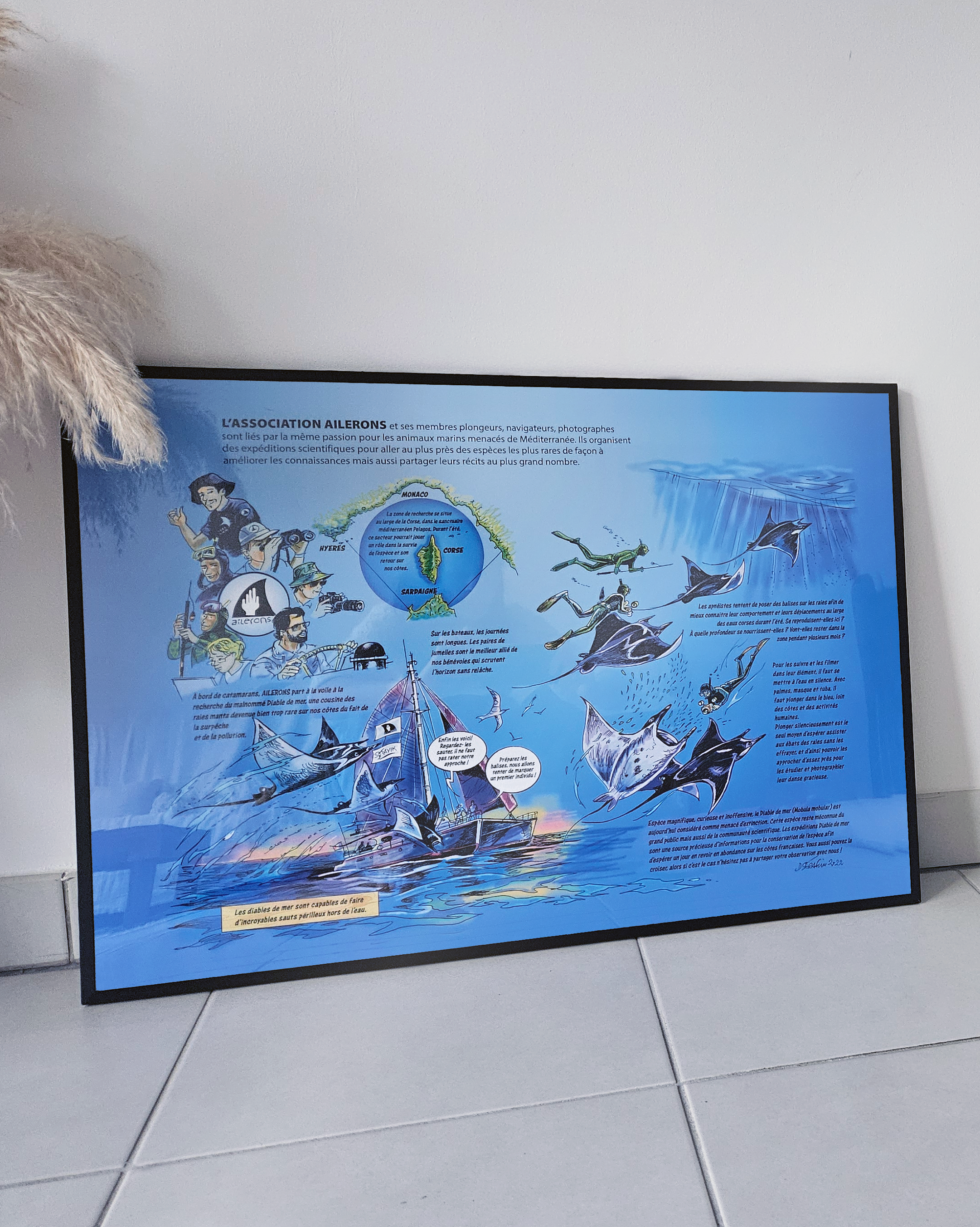Poster Diable de mer - Dominique Serafini