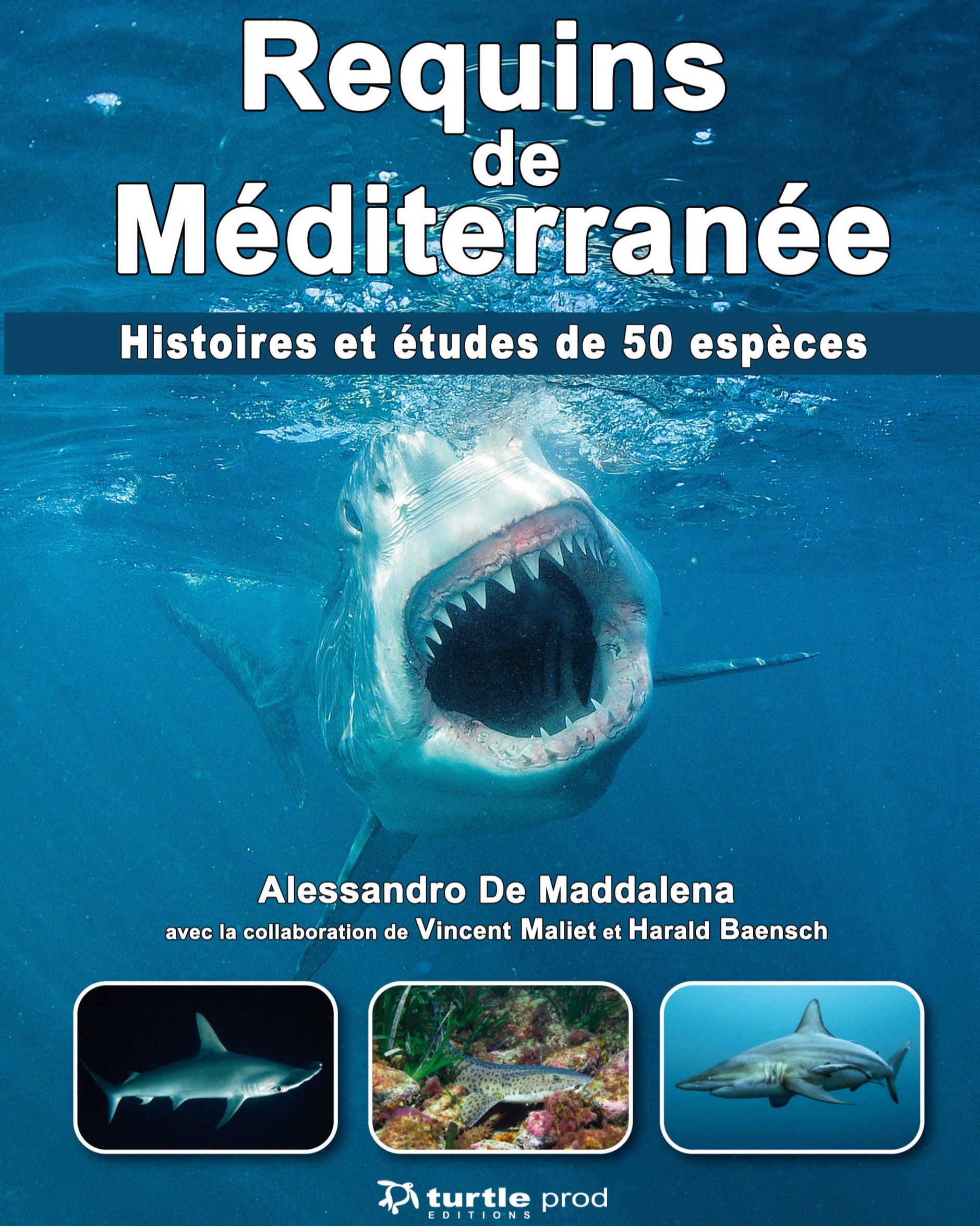 Requins de Méditerranée – A. de Maddalena