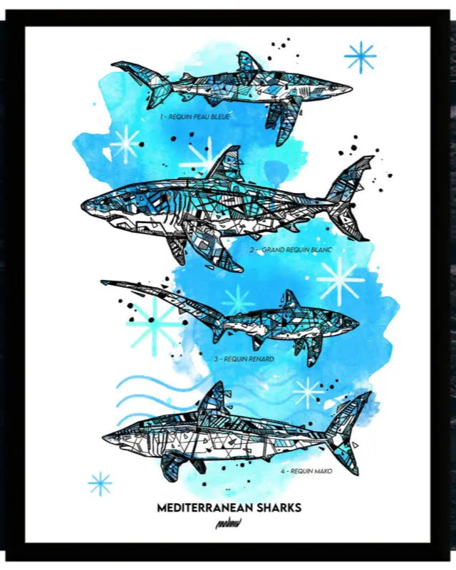 Tirage d'art Requins de Méditerranée Origami Ailerons x M A H N U
