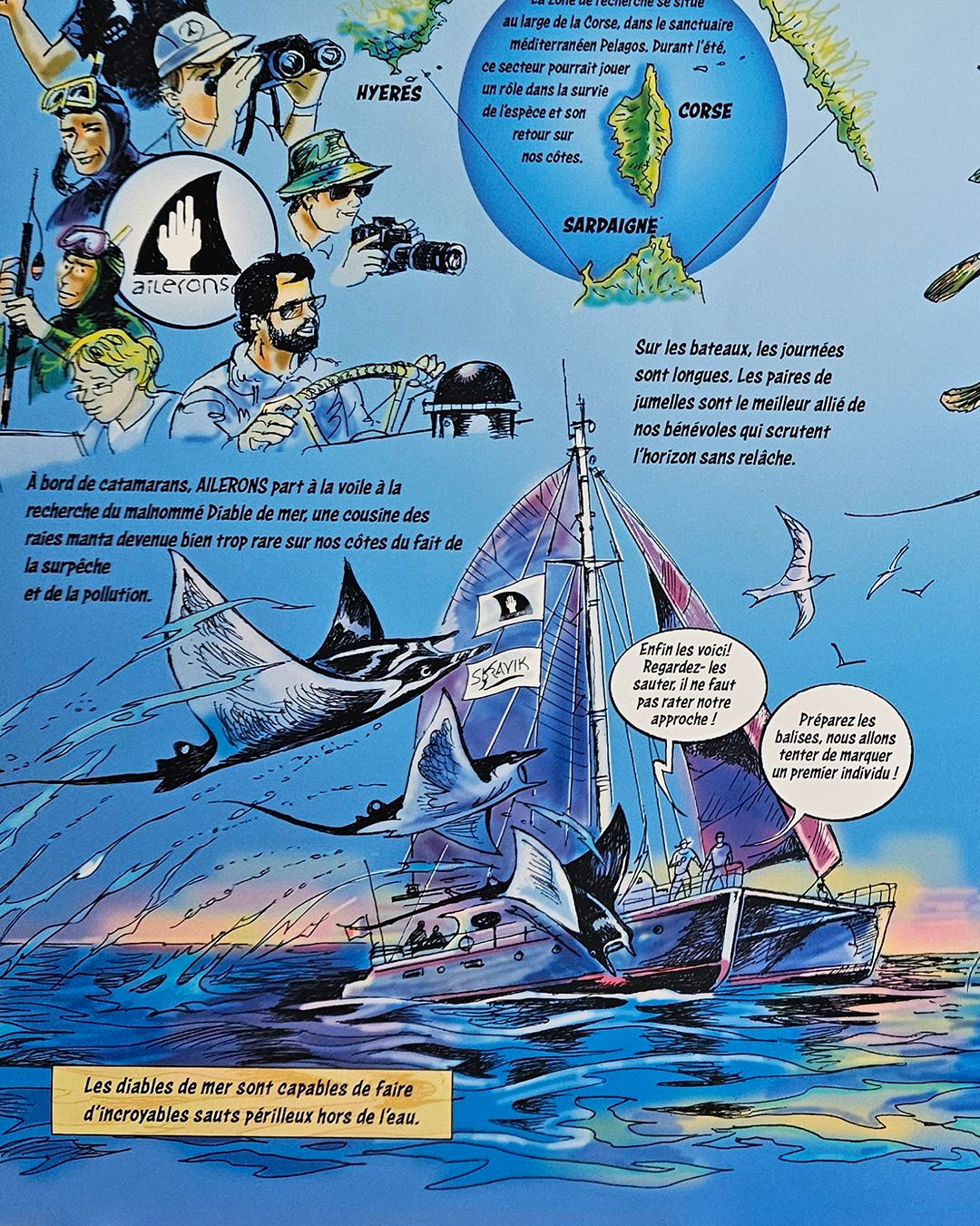Poster Diable de mer - Dominique Serafini